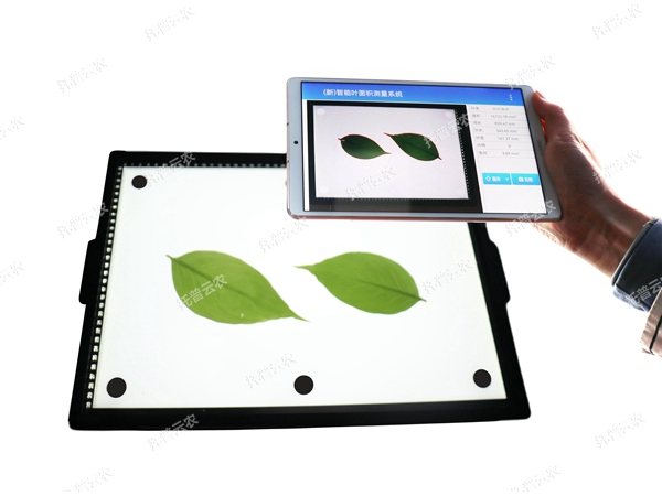 智能葉面積測量系統(tǒng)